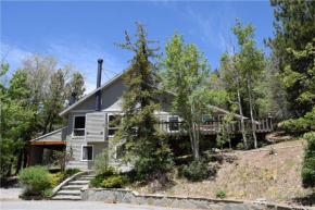 Cozy Bear Chateau -Beautiful Moonridge home nestled in the pines and birches